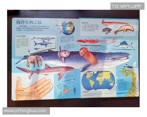 海登海默的传奇人生与科学探索之旅揭秘