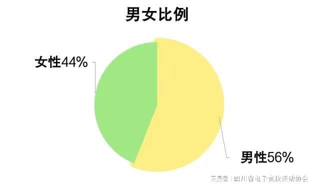 2024四川省电子竞技产业电竞竞猜注册报告(图7)